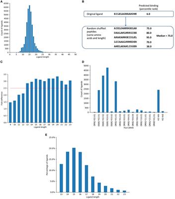 Determination of a Predictive Cleavage Motif for Eluted Major Histocompatibility Complex Class II Ligands